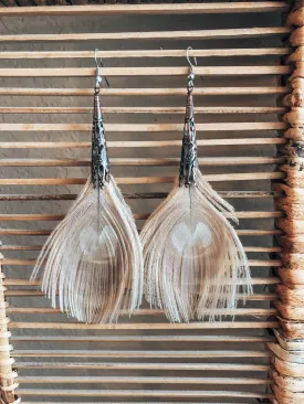Peacock Feather Earrings