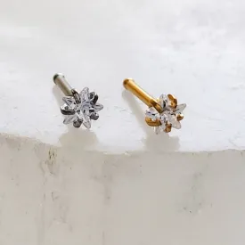 Star CZ Nose Bone