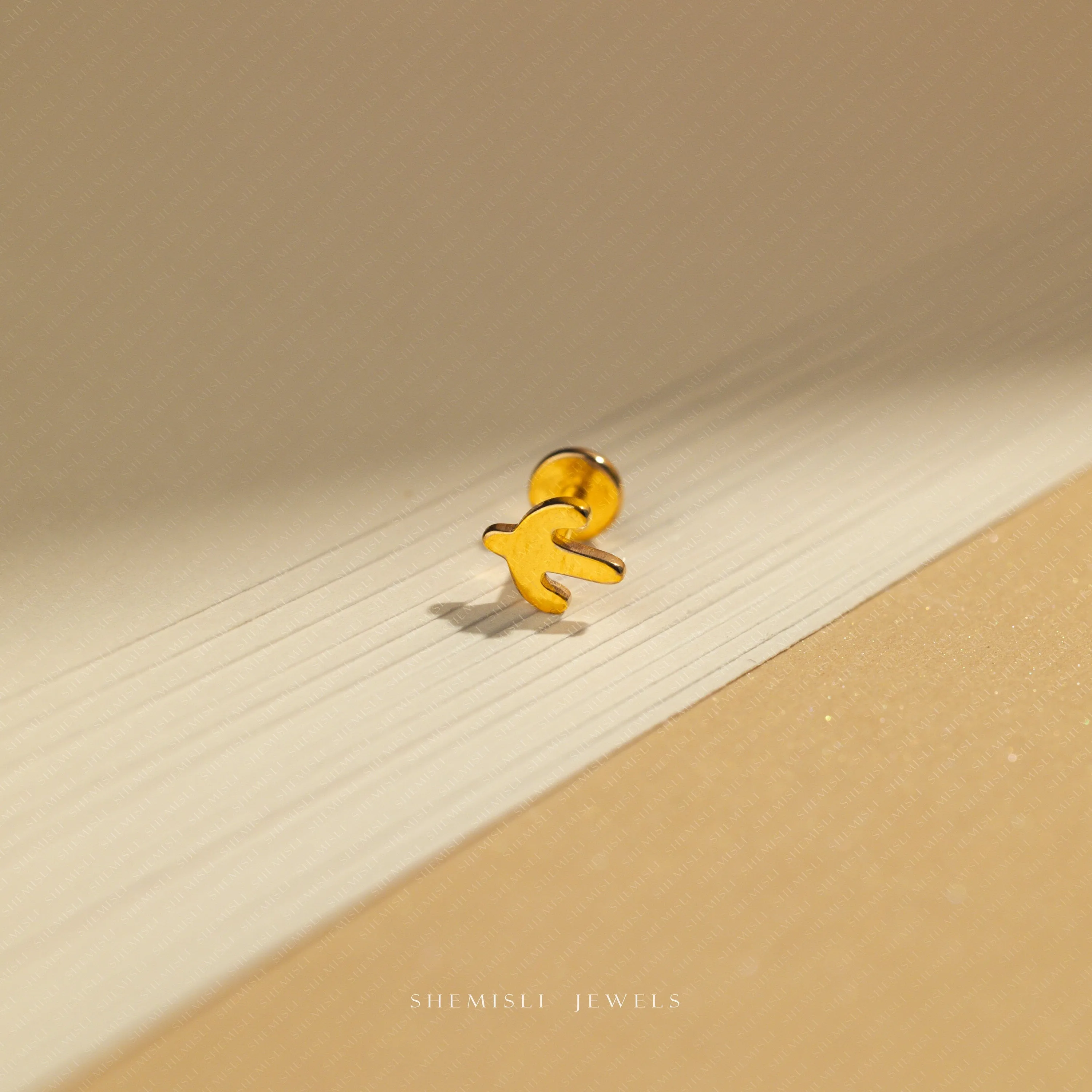 Tiny Cactus Threadless Flat Back Nose Stud, 20,18,16ga, 5-10mm Unisex, Surgical Steel SHEMISLI SS918