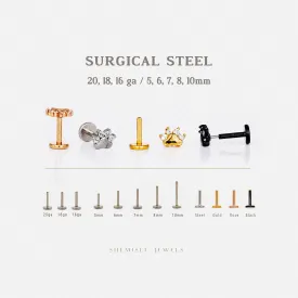 Tiny Paw Threadless Flat Back Nose Stud, 20,18,16ga, 5-10mm Unisex, Surgical Steel SHEMISLI SS887
